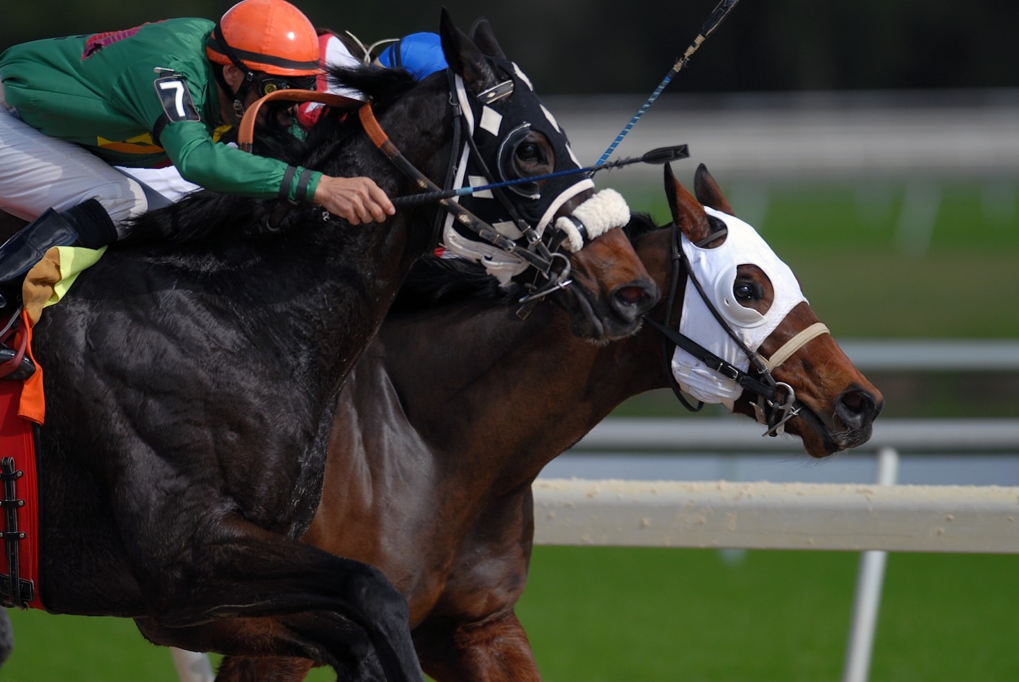 5 Strategies for Safe and Smart Horse Betting