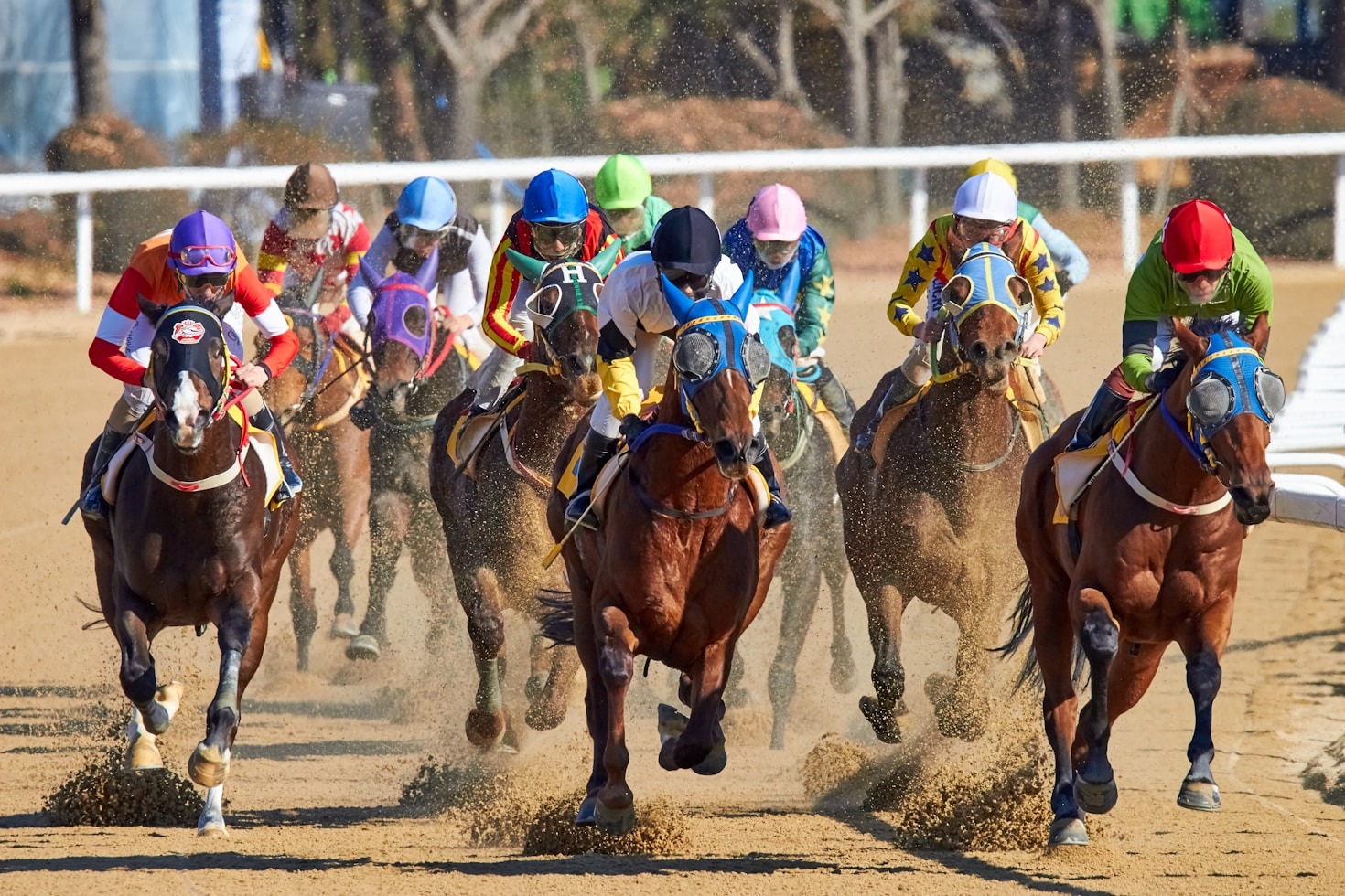 How to Choose the Right Betting Platform
